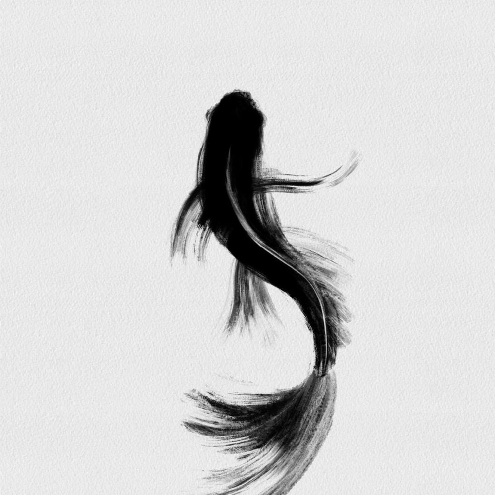 Meet your Posher, K.